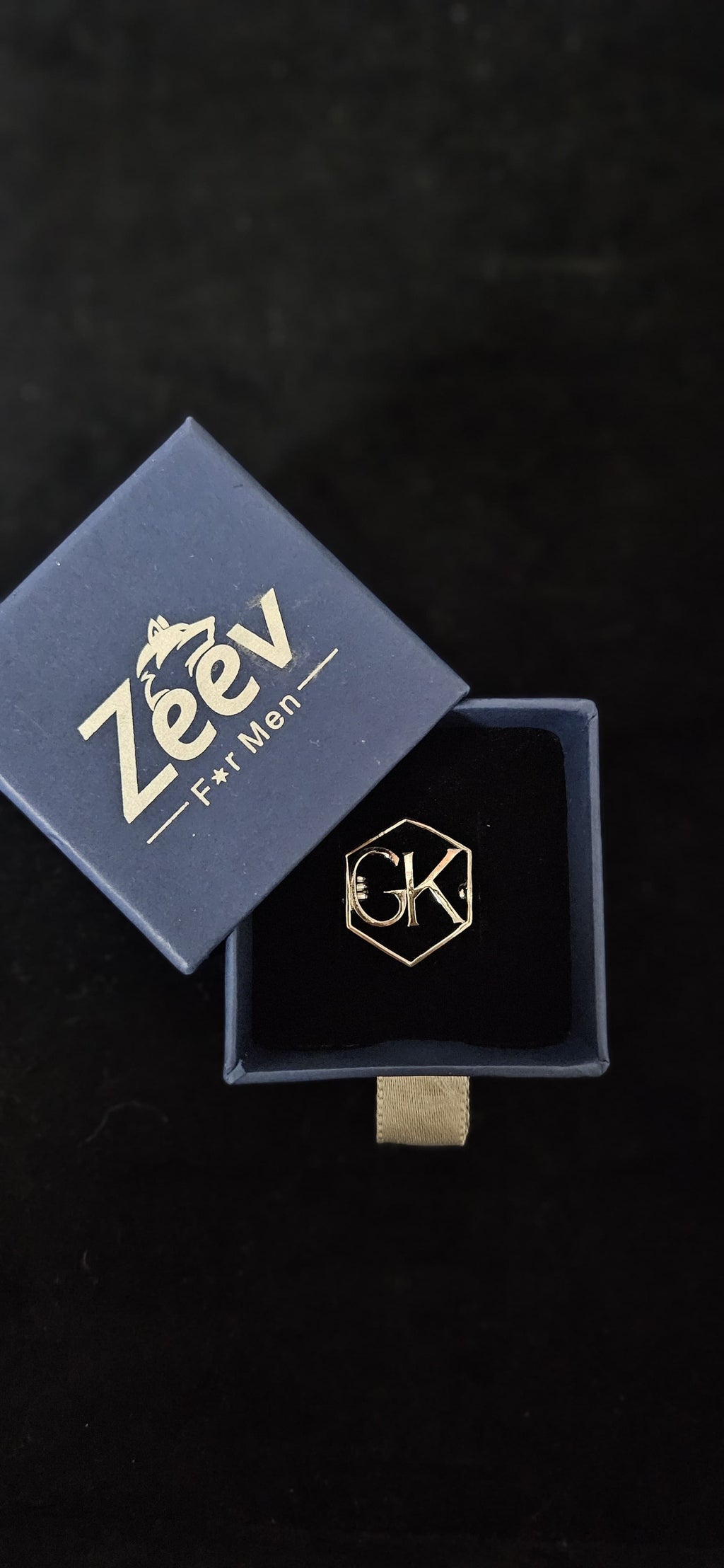 Alpha Gleam Brooch