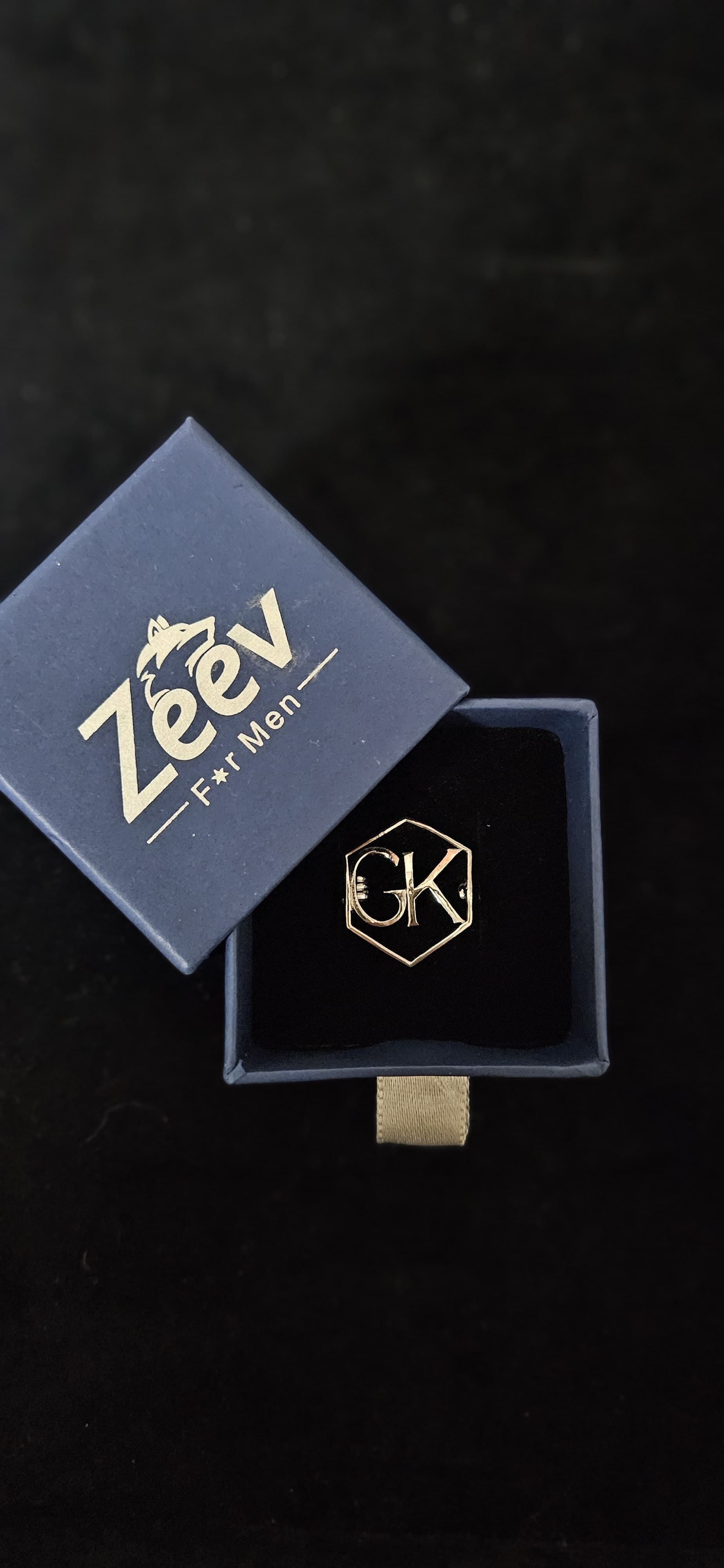 Alpha Gleam Brooch